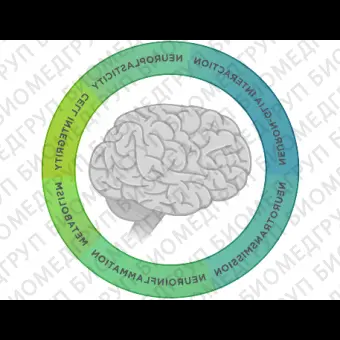 Панель nCounter Neuropathology