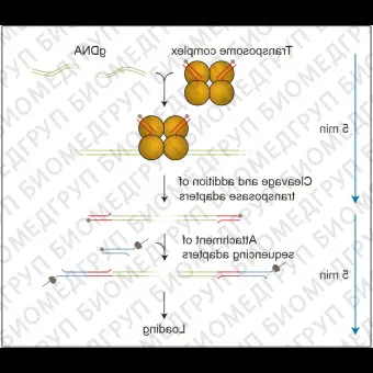 Набор для секвенирования ДНК в полевых условиях, Field Sequencing Kit, Oxford Nanopore Technologies, SQKLRK001