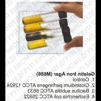 Агар железожелатиновый, 500 г ФСЗ 2009/03705
