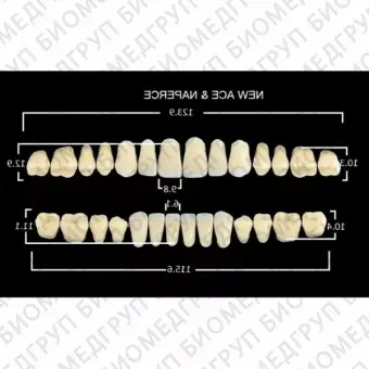 Гарнитуры пластмассовых зубов O3 M30, цвет B1, 28 шт.