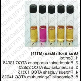 Основа уреазного бульона, 500 г ФСЗ 2009/03705