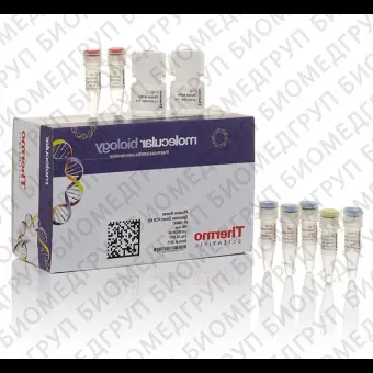 Набор для проведения прямой ПЦР Phusion Human Specimen Direct PCR Kit из образцов человека без предварительного выделения ДНК, Thermo FS, F150BID, 200 реакций