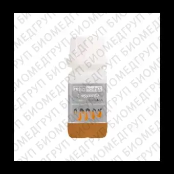 Orange 1 Краски Zirkonzahn Prettau Aquarell Incisal