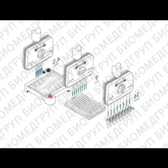 Автоматическая пипетка электронная 120 мкл, 12канальная, с переменным расстоянием между наконечниками Xplorer plus Move It, Eppendorf, 4861000782