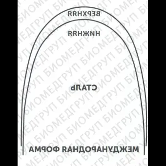 Дуги ортодонтические международная форма нижние БетаТитан INT BT L .016/.41