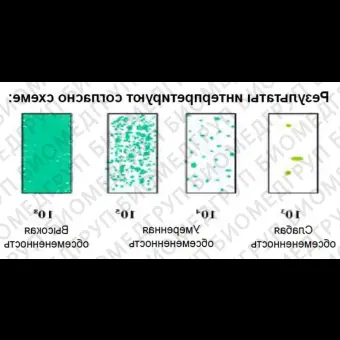 Микробиологические экспресстесты для подсчета КМАФАнМ ОМЧ и Enterobacteriaceae, двухстронние, DipSlides, 10 шт/уп, Thermo FS, DS0168A