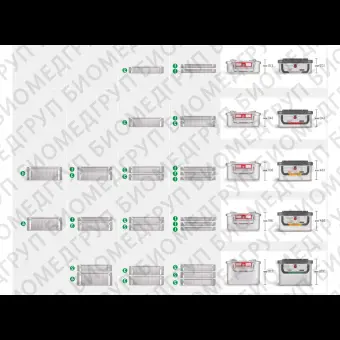 Контейнер для стерилизации marSafe 1/2, светлосерая рамка, 303016 см KLS Martin