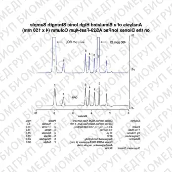 Dionex IonPac AS29Fast4m Analytical and Guard IC Columns