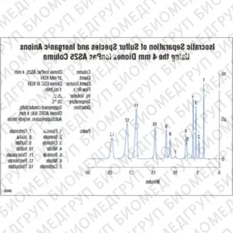 Dionex IonPac AS25 Capillary, Analytical  Guard Columns