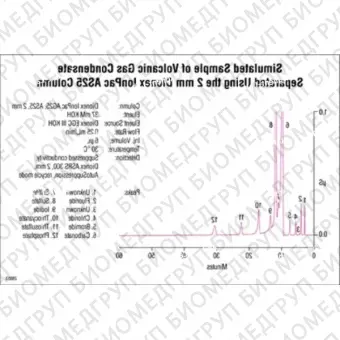 Dionex IonPac AS25 Capillary, Analytical  Guard Columns