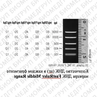 Маркер длин ДНК FastRuler Middle Range, 5 фрагментов от 50 до 1500 п.н., готовый к применению, Thermo FS, SM1113, 2х500 мкл