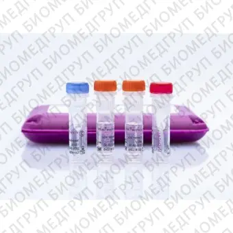 Набор реагентов virotype ASFV для обнаружения вируса АЧС методом RealTime PCR96 реакций