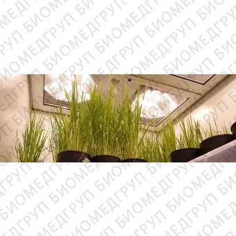 Климатическая камера для роста растений FitoClima HP