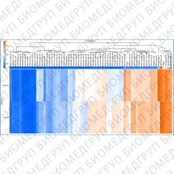 Панель для профилирования миРНК, Multiplex miRNA Assay Lung Cancer Panel  Cellular, Abcam, ab204060, 96 тестов