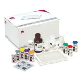 Набор для тестов рак мочевого пузыря NMP22®