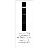 Эндонуклеаза рестрикции Mph1103I (NsiI), 10 е.а./мкл, Fermentas, Thermo FS, ER0732, 5000 e.a.