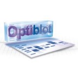 Гель полиакриламидный готовый, Optiblot SDS Gel 10% (8x10 см), 17 лунок, Abcam, ab139605, 10 шт/уп