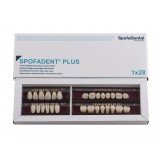 Spofadent Plus (А2) 53-53-1/74